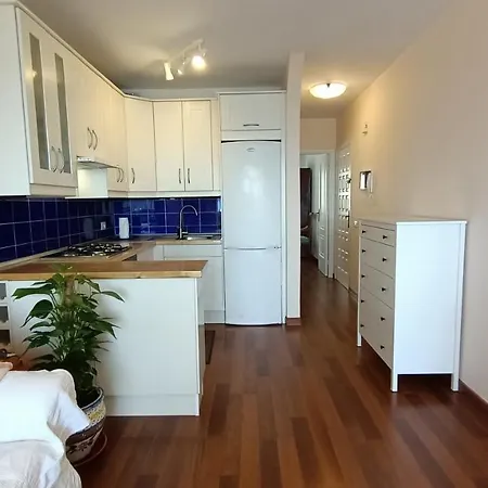 Ocean View Center アパート エル・メダノ